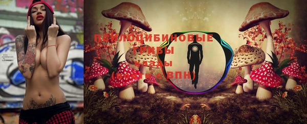 мяу мяу мука Балахна