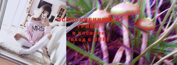 бутират Баксан